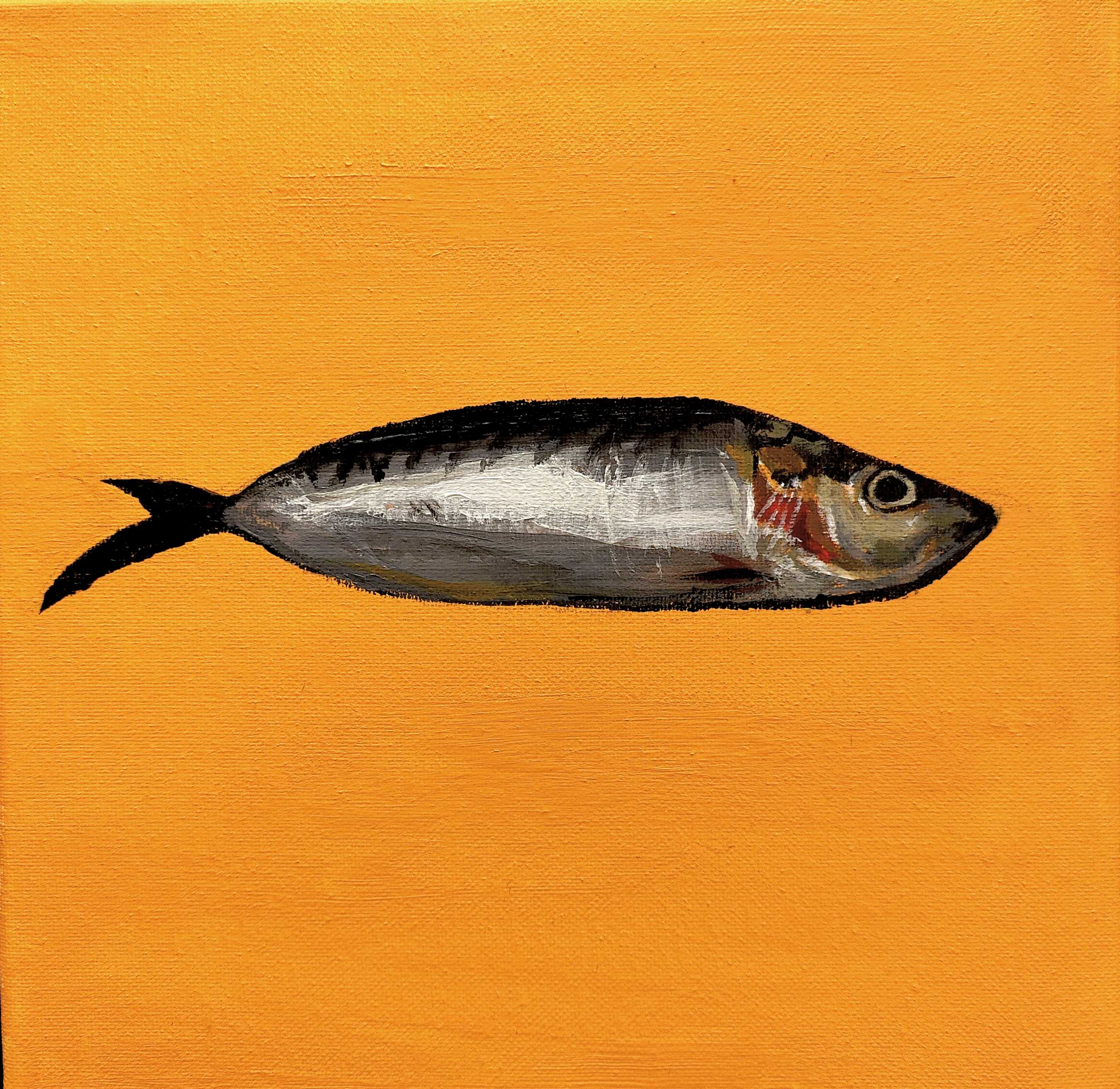 artwork: sardine
