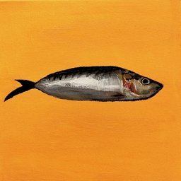 sardine preview image